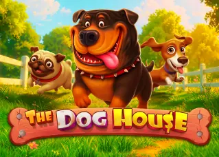 candy98 ล่าสุด The Dog House ทดลองเล่นฟรี
